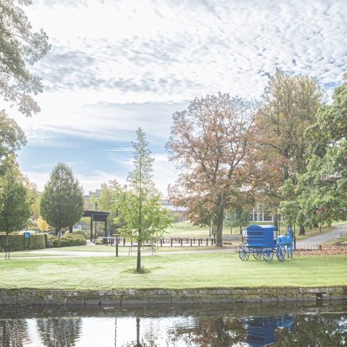 Bild på utsikten; stadsparken och vattnet i ån Viskan