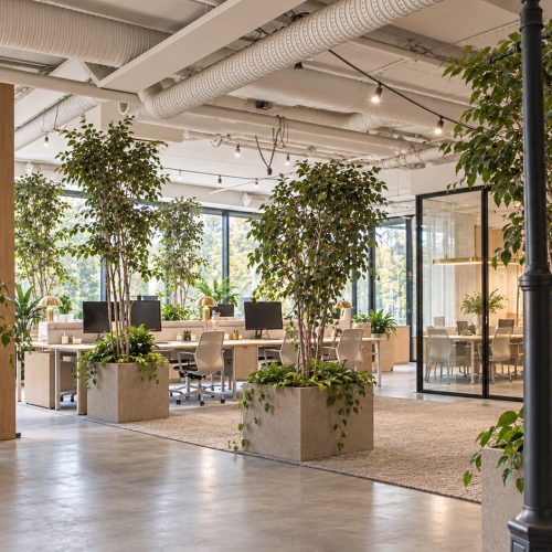 Visionsbild med möjlighet till öppet landskap eller egna kontor